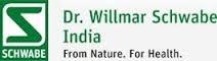 Our Sponsors